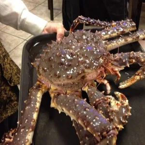 Fresh Red King Crab Fresh/Frozen/Live Red King Crabs, Soft Shell Crabs, Blue Swimming Crabs & Snow Crabs-wholesale