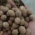 Import Nutmeg - HS Code 0908.11.00 from Indonesia