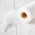 Import 10% off 70% Wood Pulp 30% Viscose Spunlace Nonwoven Fabric for Wet Toilet Paper from China