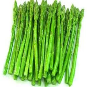 100% Fresh Frozen Green Asparagus in Bulk For Export