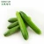 Import 100% Natural food grade cucumber juice powder from China