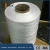 Import 100% Polypropylene BCF Wool Yarn from China