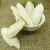 Import 10008 Hai piao xiao New Arrival Wholesale Price Cuttlefish bone from China