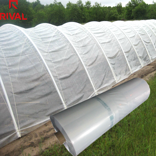 11.11 festival Agricultural Greenhouse Film for wholesale