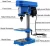 Import 13mm Mini Drilling Machine Industrial Drill from China