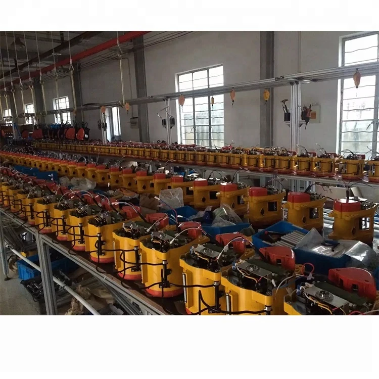 160kg to 500 kg electric wire rope hoist crane