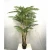 Import 195cm(77 inches) height with 31pcs leaves artificial bonsai potted palm tree plant,  large bonsai tree plant artificial from China