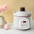 Import 1L Electric Ceramic Slow Cooker Stew pot from China