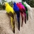 Import 2019 new arrivals event party supplies 35 cm decorative artificial feather and foam birds of paradise plant colorful parrot from China