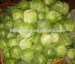 2019 new season fresh chinese round cabbage( Beijing cabbage) supplying all the year round to world