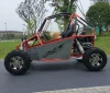 2020 new 300cc  racing go kart for adults