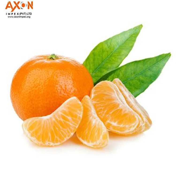 2020 New Year Sale/ Mandarin oranges/fresh mandarin orange/Citrus fruit latest price