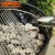 Import 22 Inch Weber Kettle Steel Charcoal BBQ Grill from China