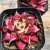 Import 2.8" Live Succulent Plants Echeveria "red sandalwood" Ornamental Plant Garden Decor for Nursery Real Natural Indoor Plant from China