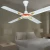 Import 4 blades luxury ceiling fan for middle east from China