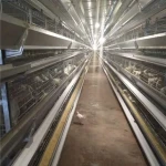6 Layer Galvanized Wire quail farming cage