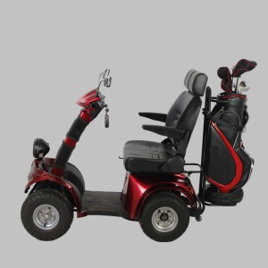 800W Double Seat Electric 4 Wheel Scooter, Disabled Scooter with Backpack (ES-038)