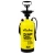 Import 8L Portable High Pressure Car Washer from China