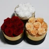 amazon most popular wholesale immortal Infinity eternal preserved rose flower in  box for Mother girlfriend gifts