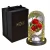 Import Ammy Natural And Fresh Rose Of Preserved Flower With Glass Cover And Gift Box Packing from China
