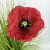 Import Artificial 3 heads poppy silk flowers onion grass block branch plants for indoor home shopping mall fence decoration from China