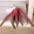 Import Artificial Decorative Plants Echeveria Succulent Plants Tropical Plants from China