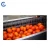 Import Automatic pumpkin washing machine potato peeling cleaning machines carrot washer from China