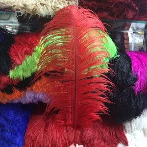 AYFOF-08 50-55cm colorful ostrich feathers dyed feathers  for party decoration