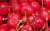 Import bagged china fresh cherries price lower and high quality from China