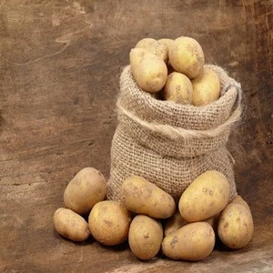Bangladeshi high quality fresh potato , bangladeshi fresh potato , chip price potato. for sale cheap