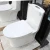 Bathroom Application Ceramic Toilet Dual Flush Closestool Toilet with Tank