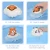 Import Bear cloud shaped cute baby animal bath water toy plastic toddler shower spray with high quality from China