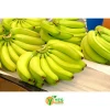 Best Prices High Quality Thailand Fresh Cavendish Banana