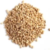 Best Quality and Hot Sale Barley Malt of Kazakstan for Animal Feed
