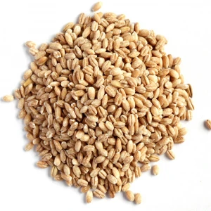 Best Quality and Hot Sale Barley Malt of Kazakstan for Animal Feed