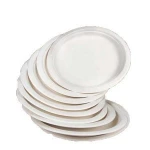 Best Seller Eco Disposable Sugar Cane Bagasse Plate For Dish Vegetable