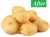 Import Best Way To Grow Healthy Potato Amino Acid Organic Micronutrient Fertilizer Life Force Amino B (amino acids N+B) MI 302 from Russia