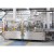 Beverage Industry Widely Applied Sparkling Water Bottling Machine / 200ml To 2000ml  Sparking Water Bottling Machine