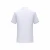 Import Bojin OEM custom 100%cotton mens t-shirt printing short sleeves from China