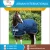 Import Breathable Horse Winter Under Liner Rugs And Combo from India
