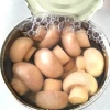 Brined Whole Champignon Mushroom Canned A10