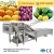 Import Bubble type fruit and vegetable washer/washing line from China
