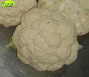 bulk pack China high quality new crop fresh cauliflower