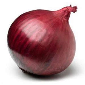 Certified Indian Fresh Red Onion