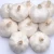 Import Certified Organic Non-gmo White High Quality Fresh Garlic from China