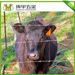 Cheap Barbed Wire Roll Price Fence For Sale