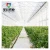 Import China agricultural plastic film tunnel greenhouse from China