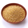 China  factory wholesale  yellow millet  price