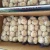 Import china fresh garlic from China