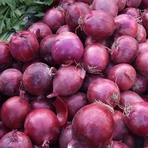 Chinese Low Price Fresh Red Onion 2018 New Crop